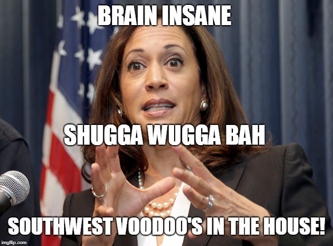 KAMALA | BRAIN INSANE; SHUGGA WUGGA BAH; SOUTHWEST VOODOO'S IN THE HOUSE! | image tagged in kamala harris,libtards,icp | made w/ Imgflip meme maker