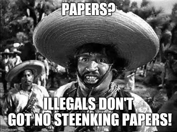 Badges | PAPERS? ILLEGALS DON'T GOT NO STEENKING PAPERS! | image tagged in badges | made w/ Imgflip meme maker