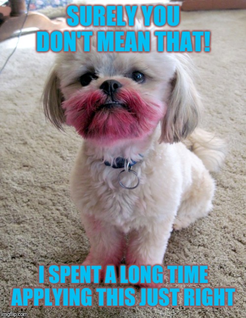 shih tzu lipstick | SURELY YOU DON'T MEAN THAT! I SPENT A LONG TIME APPLYING THIS JUST RIGHT | image tagged in shih tzu lipstick | made w/ Imgflip meme maker