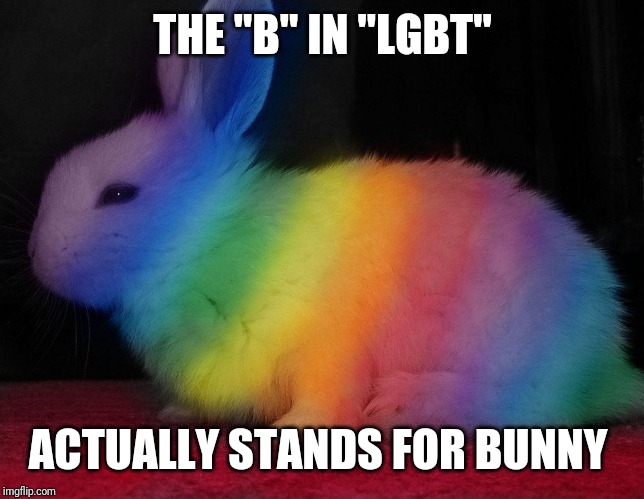 THE "B" IN "LGBT" ACTUALLY STANDS FOR BUNNY | made w/ Imgflip meme maker