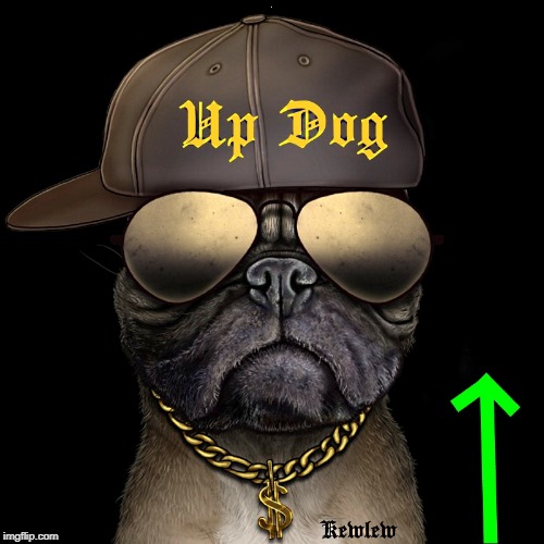 up dog | ; | image tagged in up dog | made w/ Imgflip meme maker