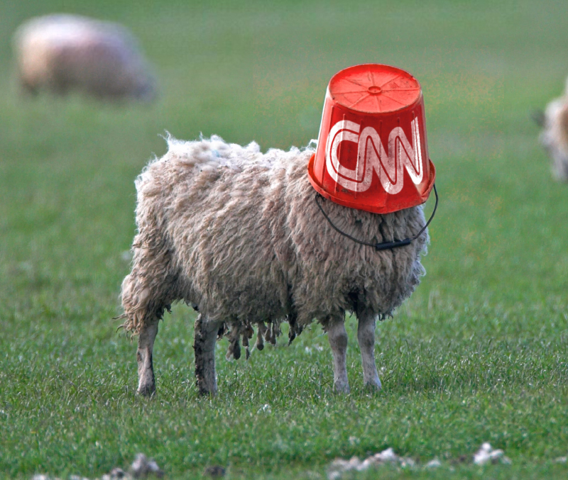 High Quality cnn bucket sheep Blank Meme Template