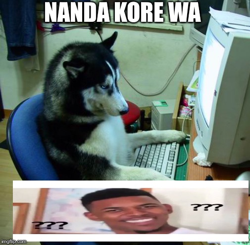 I Have No Idea What I Am Doing | NANDA KORE WA | image tagged in memes,i have no idea what i am doing | made w/ Imgflip meme maker