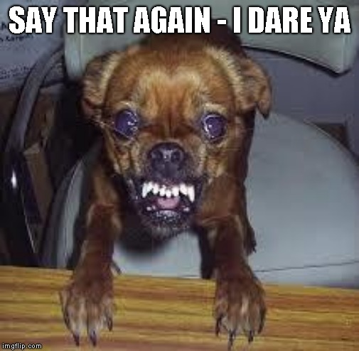 mad dog! | SAY THAT AGAIN - I DARE YA | image tagged in mad dog | made w/ Imgflip meme maker