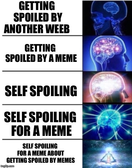 GETTING SPOILED BY ANOTHER WEEB; GETTING SPOILED BY A MEME; SELF SPOILING; SELF SPOILING FOR A MEME; SELF SPOILING FOR A MEME ABOUT GETTING SPOILED BY MEMES | image tagged in Animemes | made w/ Imgflip meme maker