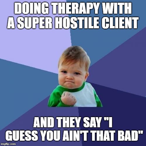 Success Kid | DOING THERAPY WITH A SUPER HOSTILE CLIENT; AND THEY SAY "I GUESS YOU AIN'T THAT BAD" | image tagged in memes,success kid | made w/ Imgflip meme maker