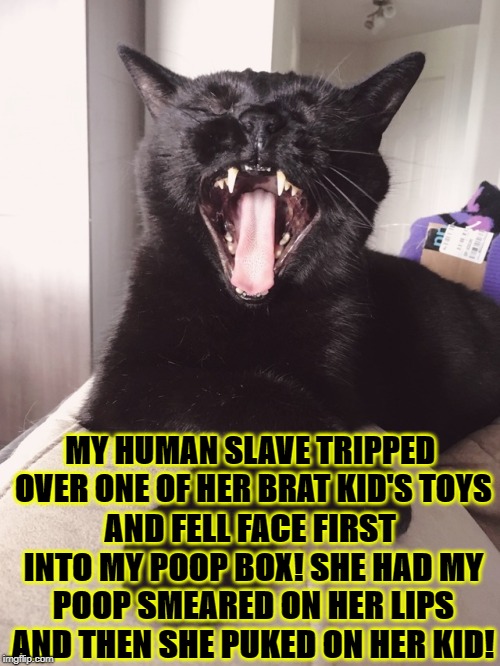 MY HUMAN SLAVE TRIPPED OVER ONE OF HER BRAT KID'S TOYS; AND FELL FACE FIRST INTO MY POOP BOX! SHE HAD MY POOP SMEARED ON HER LIPS AND THEN SHE PUKED ON HER KID! | image tagged in poop box | made w/ Imgflip meme maker