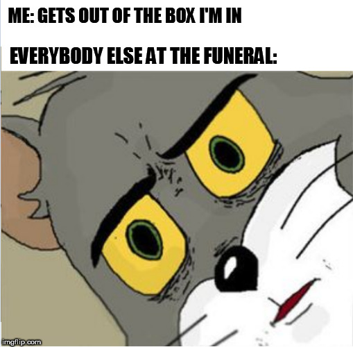 Unsettled Tom | ME: GETS OUT OF THE BOX I'M IN; EVERYBODY ELSE AT THE FUNERAL: | image tagged in unsettled tom | made w/ Imgflip meme maker