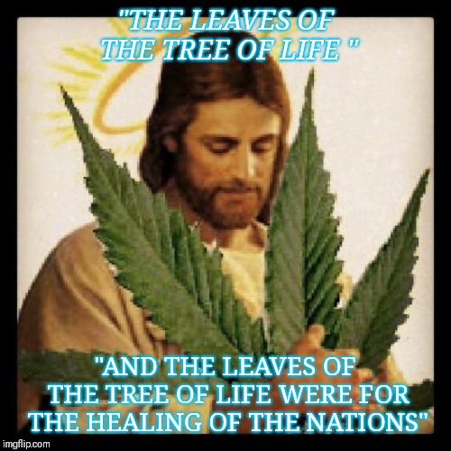 Weed Jesus | "THE LEAVES OF THE TREE OF LIFE " "AND THE LEAVES OF THE TREE OF LIFE WERE FOR THE HEALING OF THE NATIONS" | image tagged in weed jesus | made w/ Imgflip meme maker