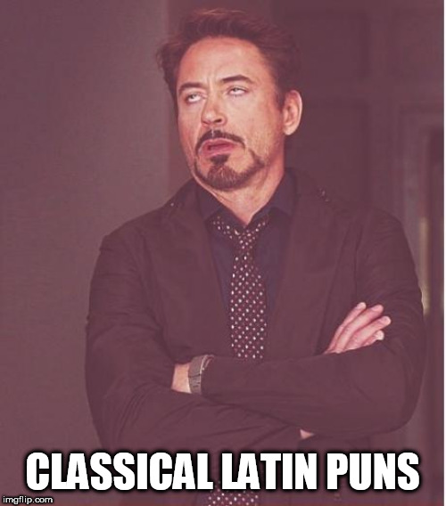 Face You Make Robert Downey Jr Meme | CLASSICAL LATIN PUNS | image tagged in memes,face you make robert downey jr | made w/ Imgflip meme maker