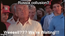 The Meuller Report | Russia collusion? | image tagged in gifs,russia collusion,fake news,donald trump | made w/ Imgflip video-to-gif maker