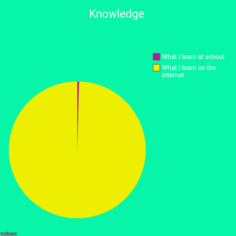 Knowledge | What I learn on the internet, What I learn at school | image tagged in charts,pie charts | made w/ Imgflip chart maker