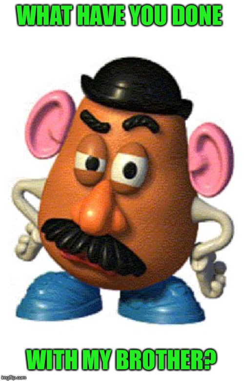 Mr Potato Head | WHAT HAVE YOU DONE WITH MY BROTHER? | image tagged in mr potato head | made w/ Imgflip meme maker