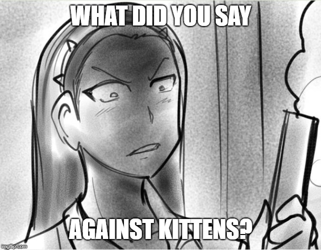 WHAT DID YOU SAY; AGAINST KITTENS? | image tagged in what the hell is this | made w/ Imgflip meme maker