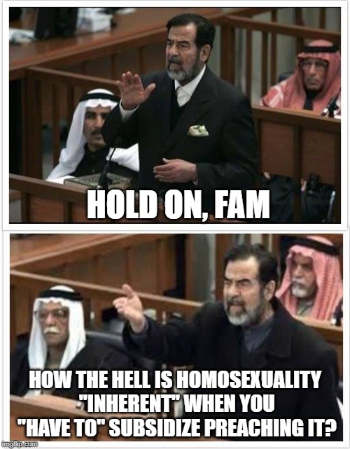 Saddam Hold on fam | HOLD ON, FAM; HOW THE HELL IS HOMOSEXUALITY "INHERENT" WHEN YOU "HAVE TO" SUBSIDIZE PREACHING IT? | image tagged in saddam hold on fam | made w/ Imgflip meme maker
