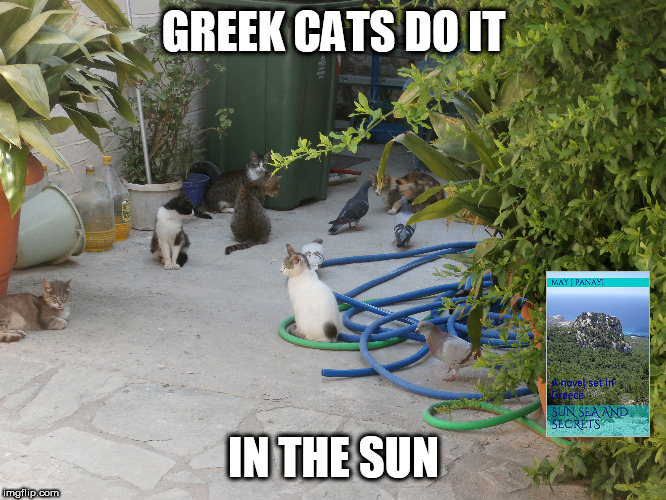 Greek cats do it in the sun | GREEK CATS DO IT; IN THE SUN | image tagged in cats,sun,greece,books | made w/ Imgflip meme maker