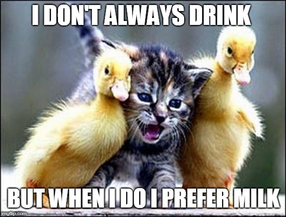 The most interesting kitten in the world | I DON'T ALWAYS DRINK; BUT WHEN I DO I PREFER MILK | image tagged in kitten with ducklings,caturday | made w/ Imgflip meme maker