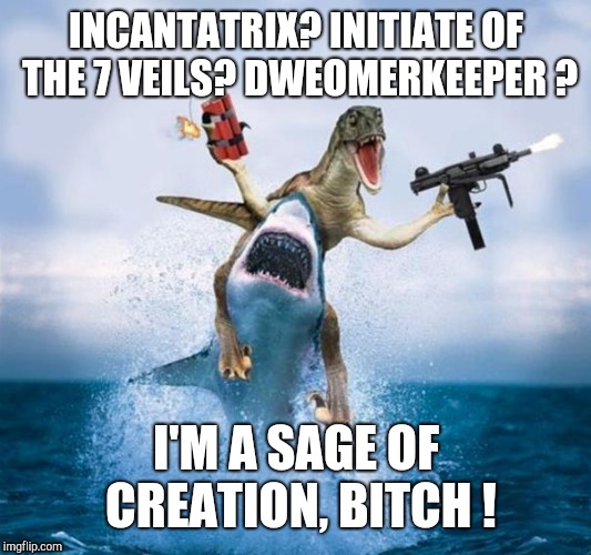 Dinosaur Riding Shark | INCANTATRIX? INITIATE OF THE 7 VEILS? DWEOMERKEEPER ? I'M A SAGE OF CREATION, BITCH ! | image tagged in dinosaur riding shark | made w/ Imgflip meme maker