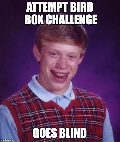Bad Luck Brian Meme | ATTEMPT BIRD BOX CHALLENGE GOES BLIND | image tagged in memes,bad luck brian | made w/ Imgflip meme maker