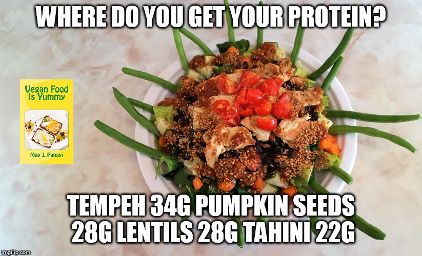 where do you get your protein? | WHERE DO YOU GET YOUR PROTEIN? TEMPEH 34G PUMPKIN SEEDS 28G LENTILS 28G TAHINI 22G | image tagged in food,vegan,protein,books | made w/ Imgflip meme maker