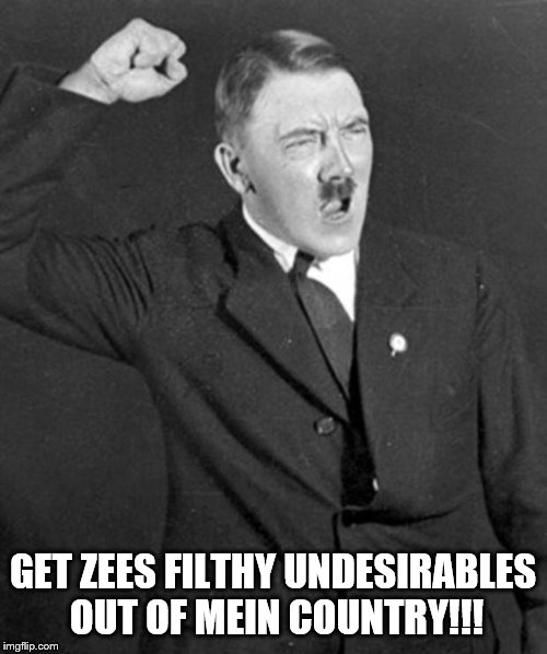 Angry Hitler | GET ZEES FILTHY UNDESIRABLES OUT OF MEIN COUNTRY!!! | image tagged in angry hitler | made w/ Imgflip meme maker