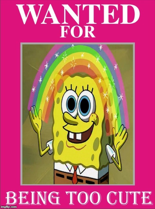 wantedcute spongebob | image tagged in imagination spongebob,spongebob imagination,wanted,too cute | made w/ Imgflip meme maker