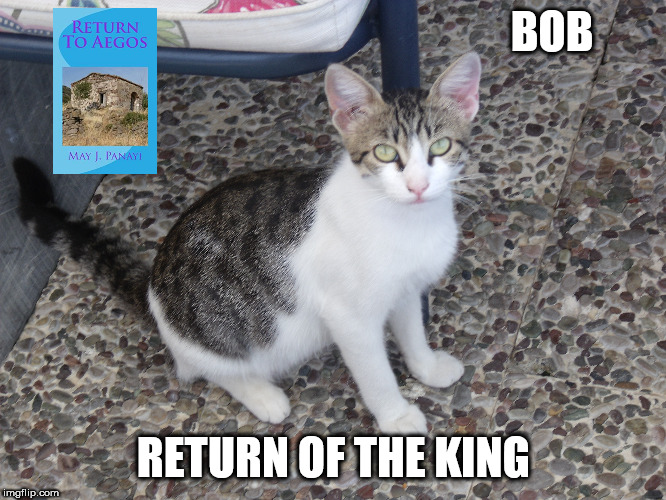 bob | BOB; RETURN OF THE KING | image tagged in cats,books,greece,king | made w/ Imgflip meme maker