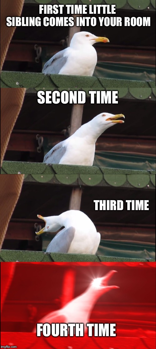 Inhaling Seagull | FIRST TIME LITTLE SIBLING COMES INTO YOUR ROOM; SECOND TIME; THIRD TIME; FOURTH TIME | image tagged in memes,inhaling seagull | made w/ Imgflip meme maker