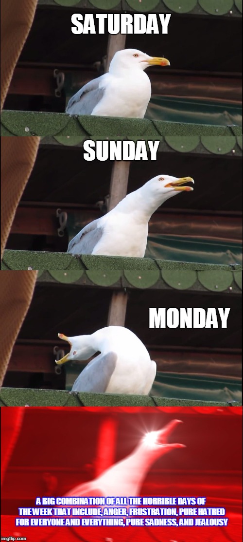 Inhaling Seagull Meme | SATURDAY; SUNDAY; MONDAY; A BIG COMBINATION OF ALL THE HORRIBLE DAYS OF THE WEEK THAT INCLUDE, ANGER, FRUSTRATION, PURE HATRED FOR EVERYONE AND EVERYTHING, PURE SADNESS, AND JEALOUSY | image tagged in memes,inhaling seagull | made w/ Imgflip meme maker