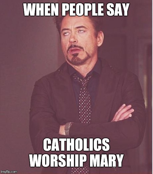 Face You Make Robert Downey Jr Meme | WHEN PEOPLE SAY; CATHOLICS WORSHIP MARY | image tagged in memes,face you make robert downey jr | made w/ Imgflip meme maker