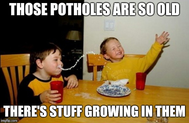 Yo Mamas So Fat Meme | THOSE POTHOLES ARE SO OLD THERE'S STUFF GROWING IN THEM | image tagged in memes,yo mamas so fat | made w/ Imgflip meme maker