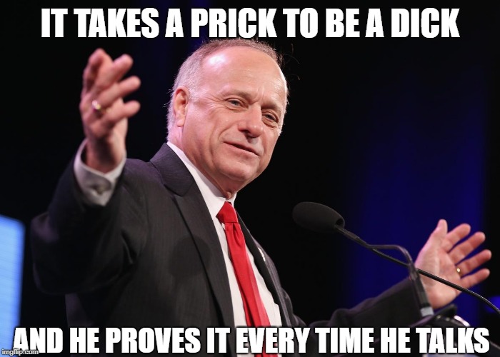 Steve King | IT TAKES A PRICK TO BE A DICK; AND HE PROVES IT EVERY TIME HE TALKS | image tagged in steve king | made w/ Imgflip meme maker