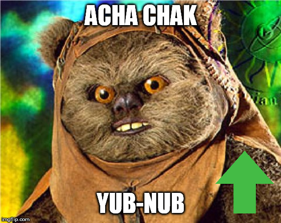 Angry Ewok | ACHA CHAK YUB-NUB | image tagged in angry ewok | made w/ Imgflip meme maker