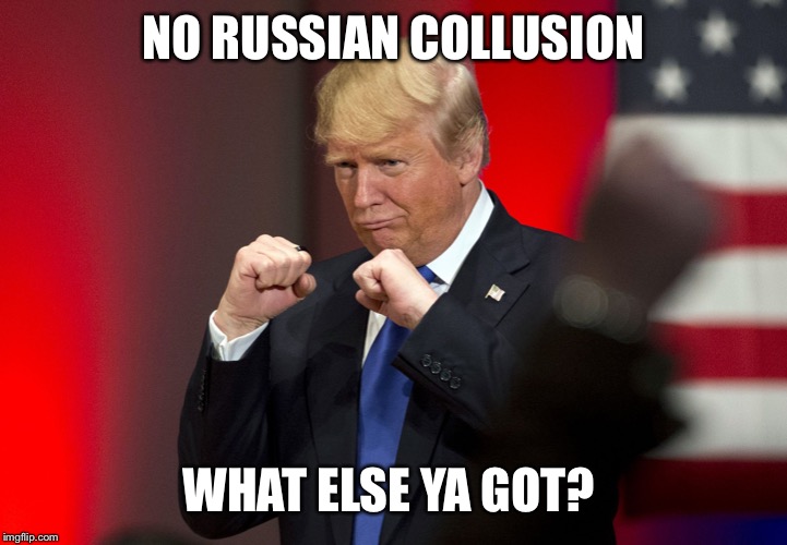 NO RUSSIAN COLLUSION; WHAT ELSE YA GOT? | image tagged in trump victorious | made w/ Imgflip meme maker