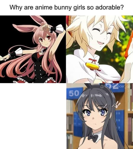 High Quality Why are bunny girls so adorable? Blank Meme Template