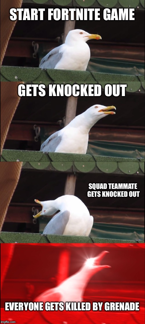 Inhaling Seagull | START FORTNITE GAME; GETS KNOCKED OUT; SQUAD TEAMMATE GETS KNOCKED OUT; EVERYONE GETS KILLED BY GRENADE | image tagged in memes,inhaling seagull | made w/ Imgflip meme maker