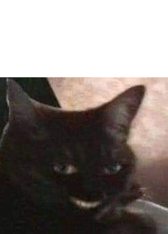 Creepy Cat Blank Meme Template