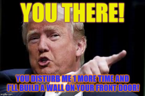 Donald Trump's Door Wall | YOU THERE! YOU DISTURB ME 1 MORE TIME AND I'LL BUILD A WALL ON YOUR FRONT DOOR! | image tagged in politics | made w/ Imgflip meme maker