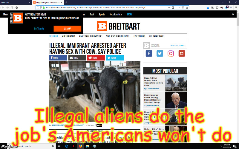 doing the jobs Americans wont! | Illegal aliens do the job's Americans won't do | image tagged in illegal alien,criminal illegal aliens | made w/ Imgflip meme maker