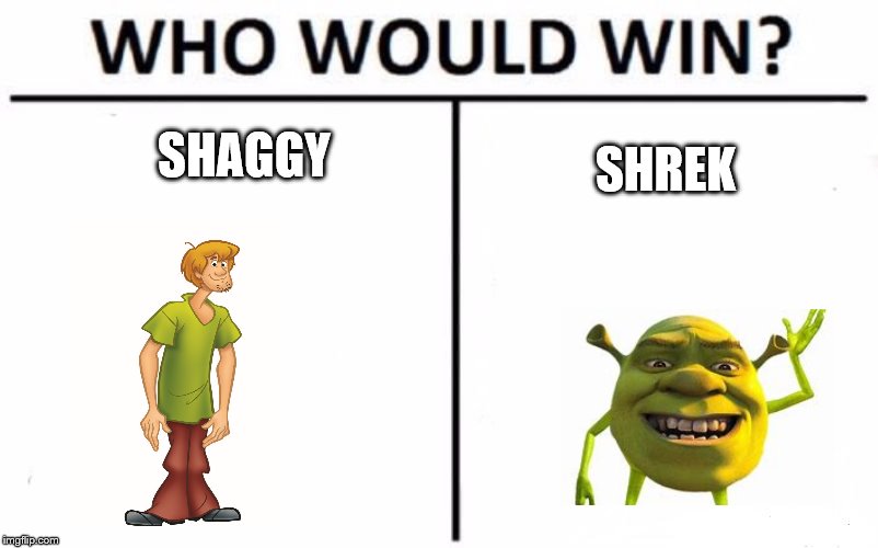 Who Would Win? Meme | SHAGGY; SHREK | image tagged in memes,who would win | made w/ Imgflip meme maker