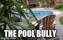THE POOL BULLY | image tagged in gifs | made w/ Imgflip video-to-gif maker