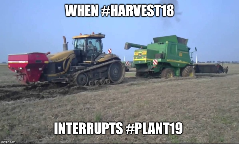 2019 planting |  WHEN #HARVEST18; INTERRUPTS #PLANT19 | image tagged in farming,lol,funny,farmer,tractor,cat | made w/ Imgflip meme maker