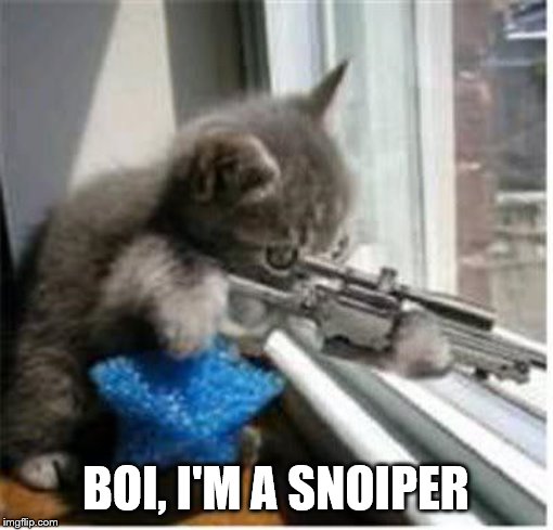 cats with guns | BOI, I'M A SNOIPER | image tagged in cats with guns | made w/ Imgflip meme maker