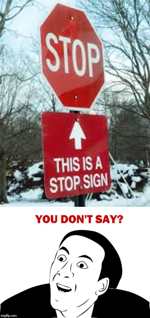image tagged in memes,you don't say,stop sign | made w/ Imgflip meme maker