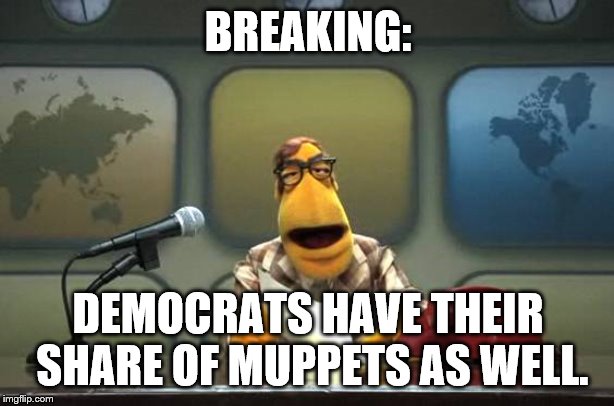 Muppet News Flash | BREAKING: DEMOCRATS HAVE THEIR SHARE OF MUPPETS AS WELL. | image tagged in muppet news flash | made w/ Imgflip meme maker