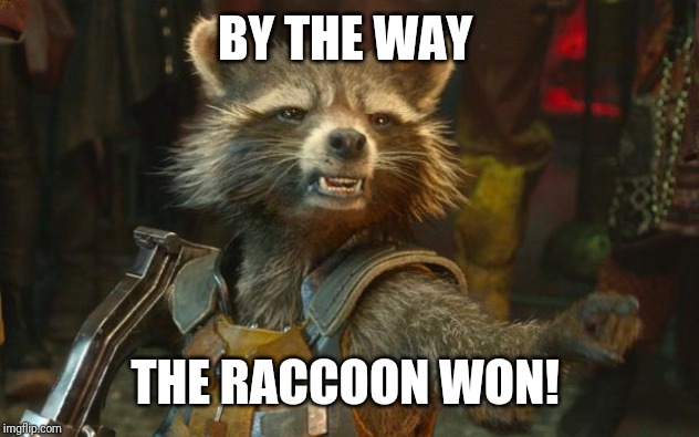 Rocket Raccoon | BY THE WAY THE RACCOON WON! | image tagged in rocket raccoon | made w/ Imgflip meme maker