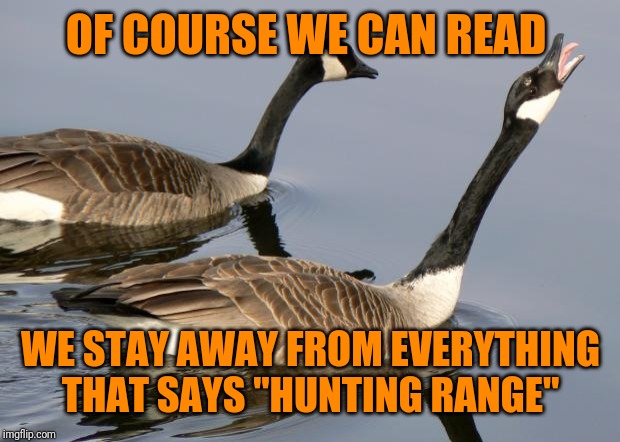 Geese | OF COURSE WE CAN READ WE STAY AWAY FROM EVERYTHING THAT SAYS "HUNTING RANGE" | image tagged in geese | made w/ Imgflip meme maker