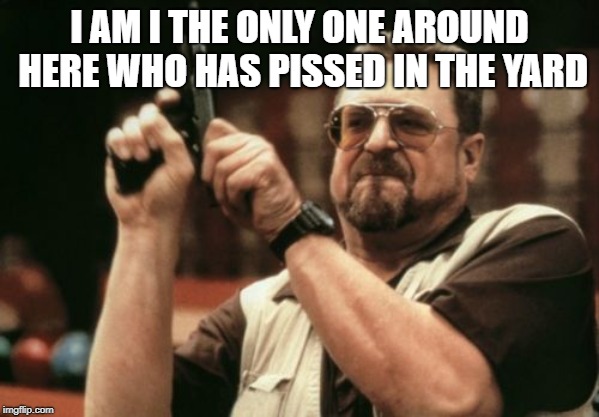 Am I The Only One Around Here | I AM I THE ONLY ONE AROUND HERE WHO HAS PISSED IN THE YARD | image tagged in memes,am i the only one around here | made w/ Imgflip meme maker