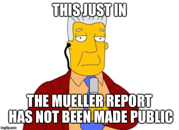 News report | THIS JUST IN THE MUELLER REPORT HAS NOT BEEN MADE PUBLIC | image tagged in news report | made w/ Imgflip meme maker