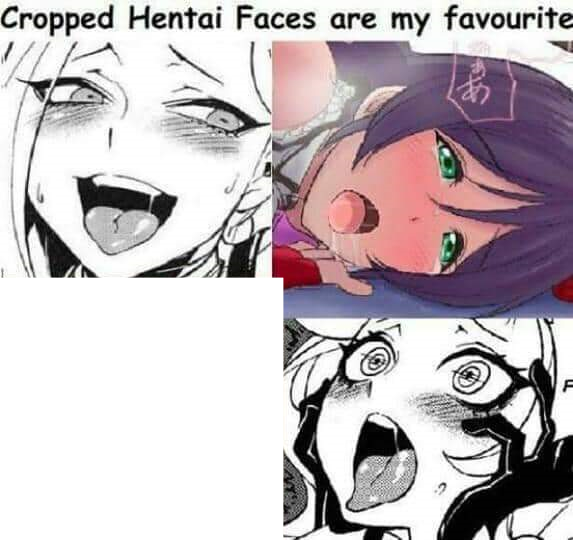 Cropped Hentai Faces are my favourite Blank Meme Template